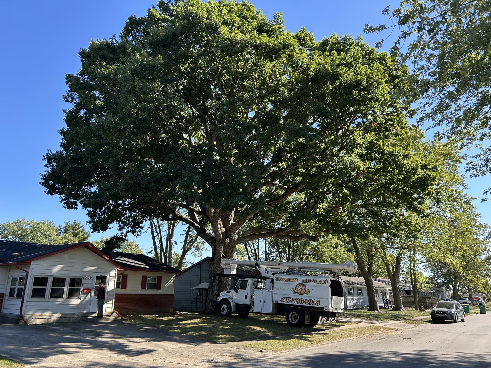 Sharper Image Tree Service LLC Image