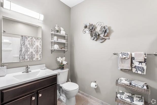 Images Lofts at 335