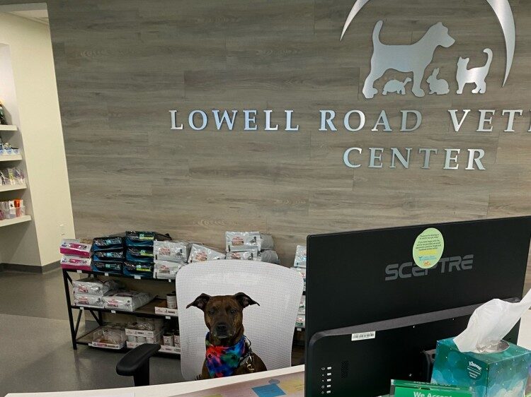 Images Lowell Road Veterinary Center