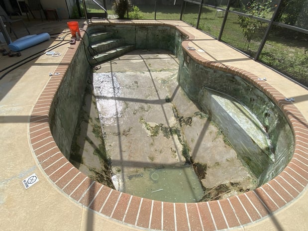 Images Paradise Palm Pools Inc
