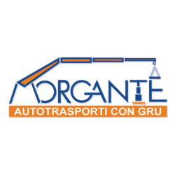 Morgante Marcello Stefano - Noleggio Gru e Piattaforme Aeree Logo