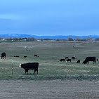 Images Shoemaker Lazy S Ranch