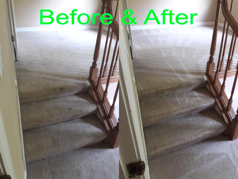 Able Body Carpet & Restoration Photo