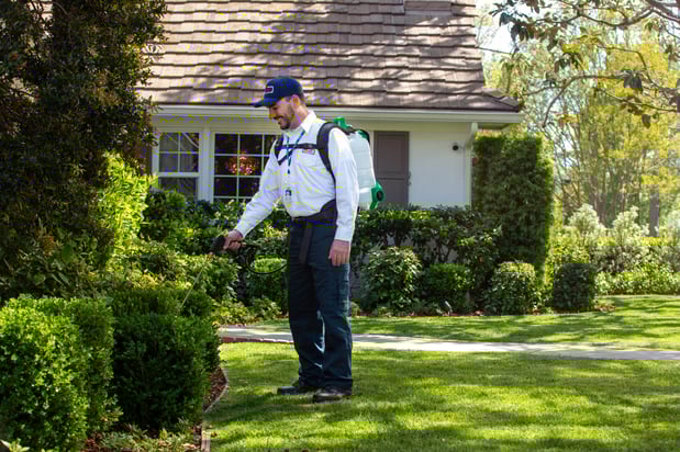 Images Clark Pest Control