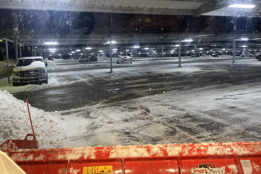 Rooted Lawn & Landscape Image