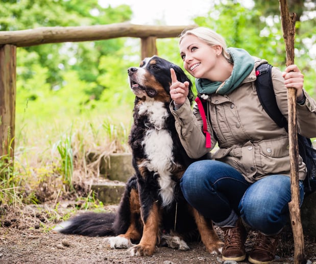 Images Great Outdogs