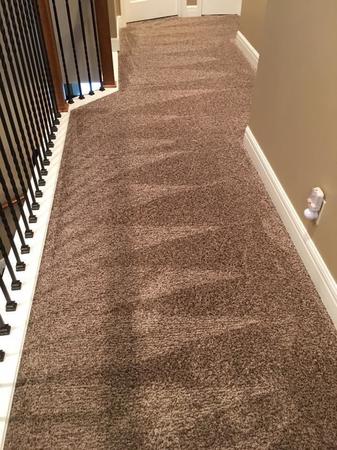 Images Brody’s Dry Professional Carpet Cleaning