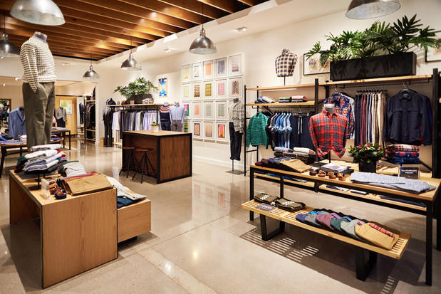 Images Bonobos
