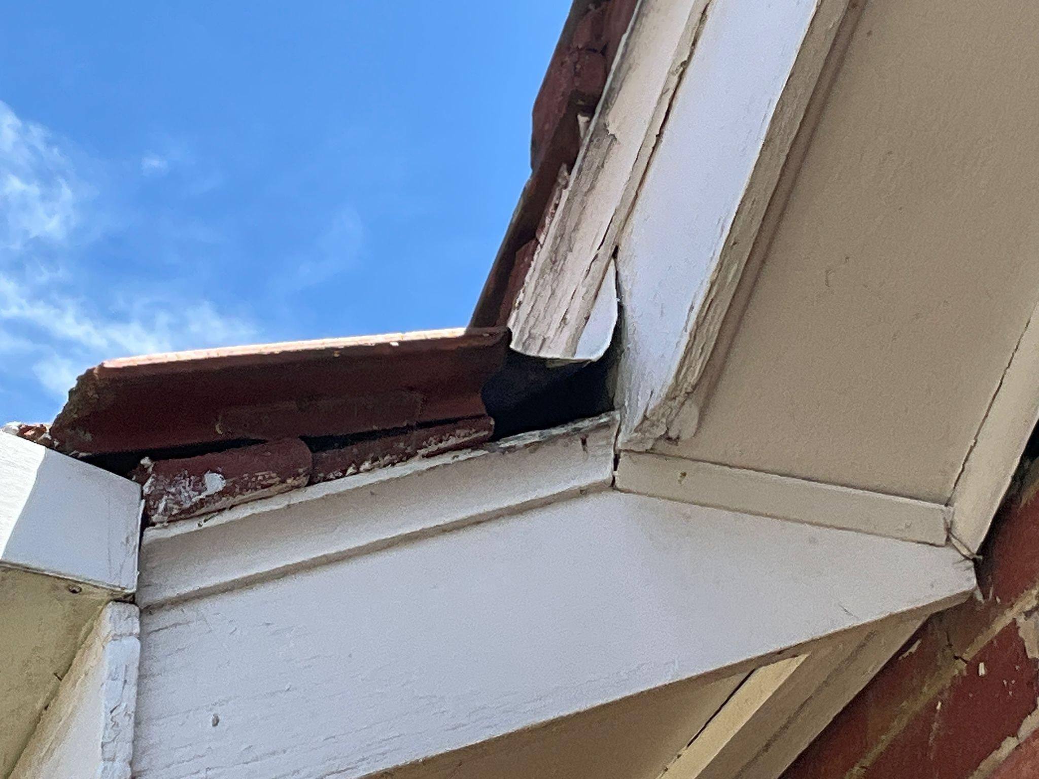 Images ACE Building and Pest Inspection