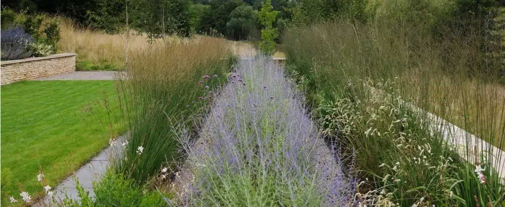 Images Amanda Patton Landscape & Garden Design