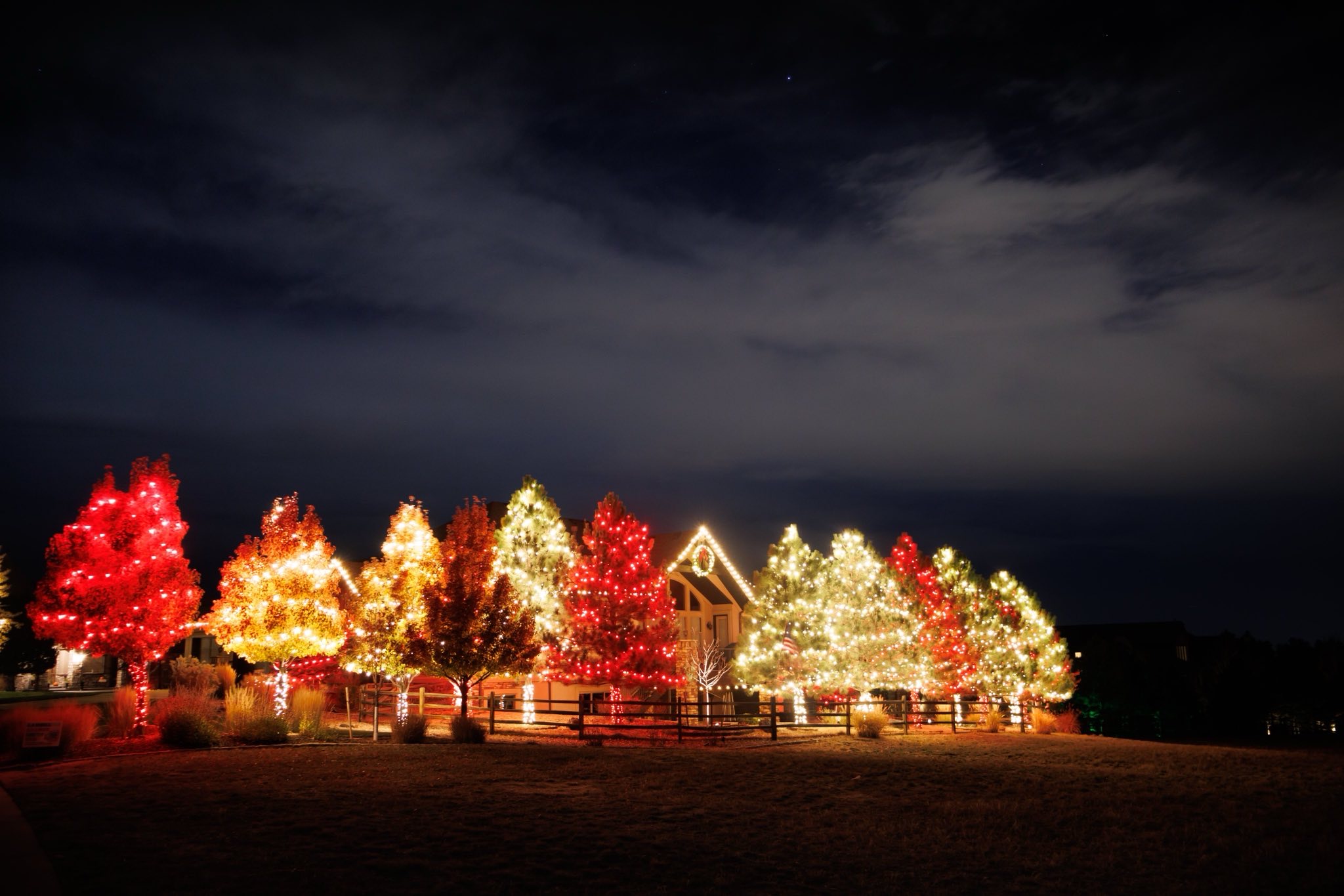 A run of trees along the fence line, each lit in a different colour. 