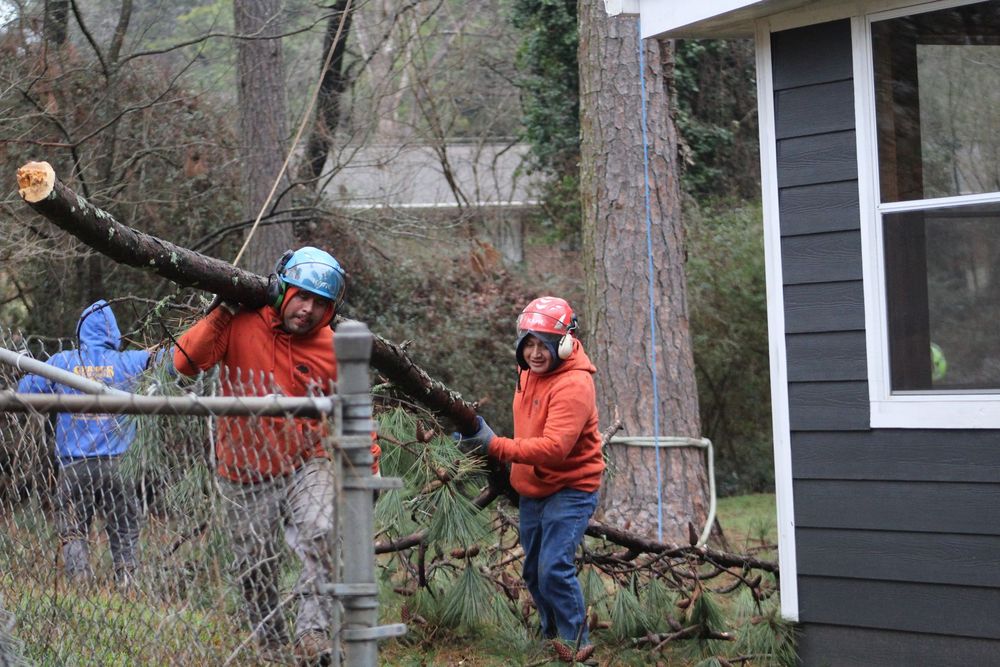 A professional ground crew performs manual debris hauling, carefully moving fallen branches away from a home's exterior to ensure a clean and safe property after a tree service project.