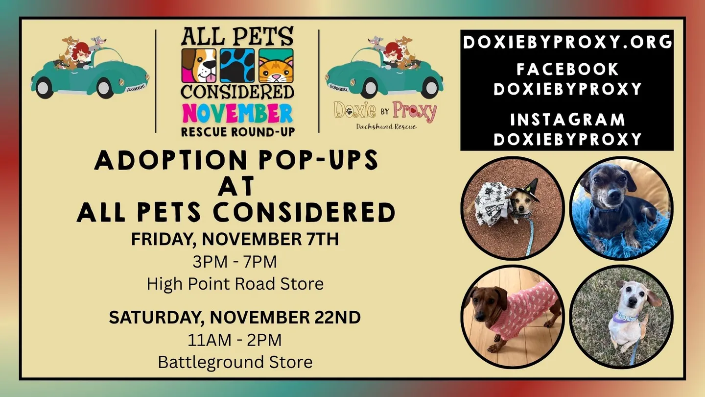 Image of Local Pet Event Doxie by Proxy Adoption Pop-Up at APC Nearby