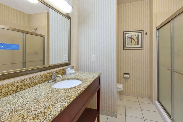 Images Hampton Inn Detroit/Southgate