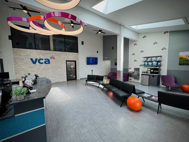 Images VCA Sawmill Animal Hospital