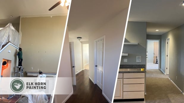 Images Elk Horn Painting - Denver