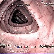 Images Doutor José Pires