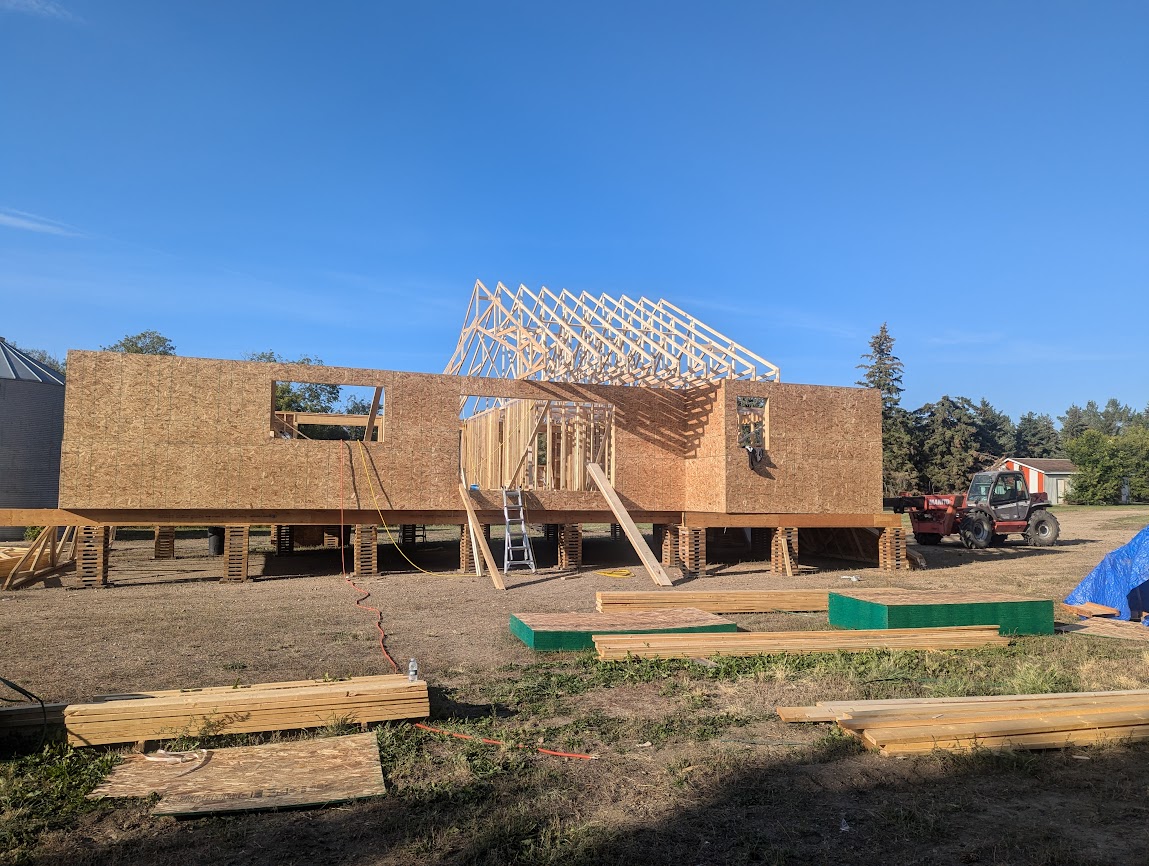 Images The Blue Spruce Builder