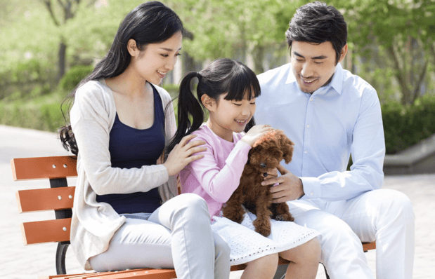 Images Felix Reyes at Comparion Insurance Agency