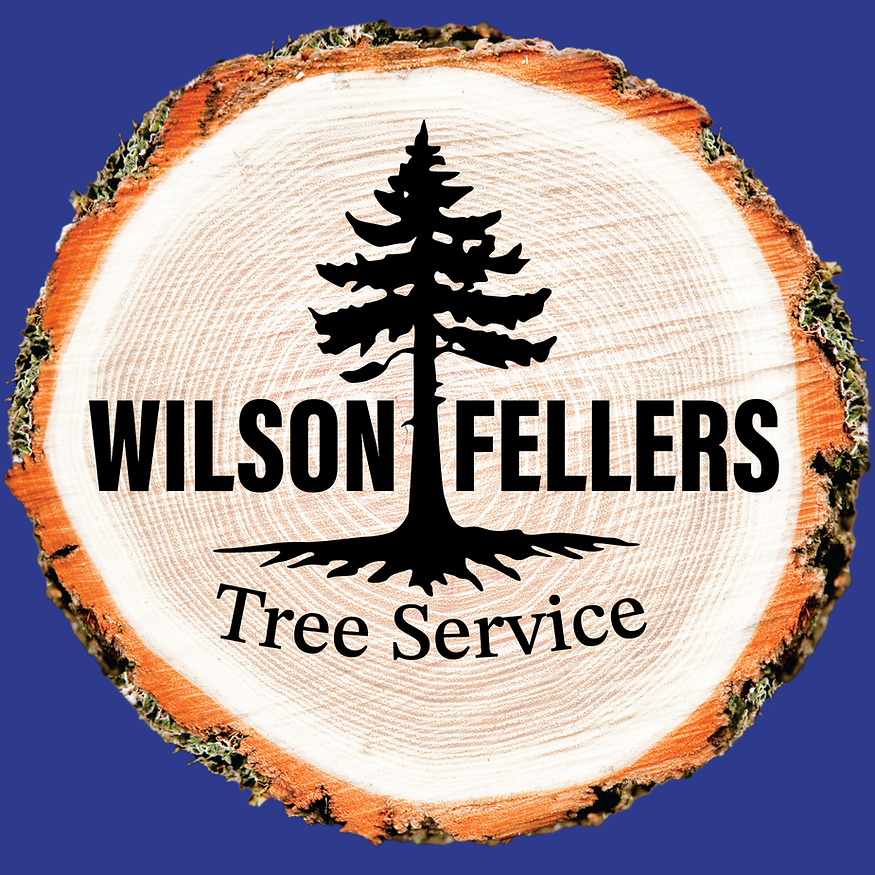 Wilson Fellers Tree Service