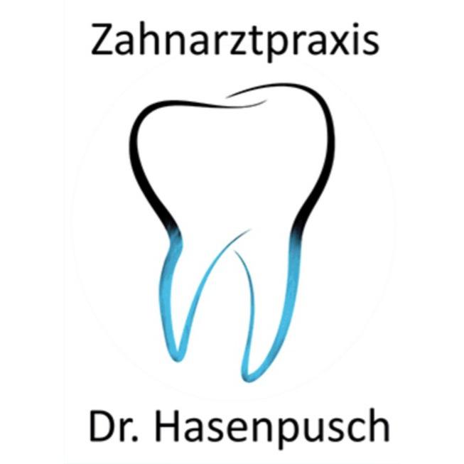Dr. Jürgen Hasenpusch Zahnarzt in Mittelangeln - Logo