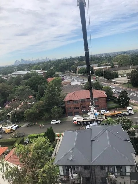 Images Above All Tree Services