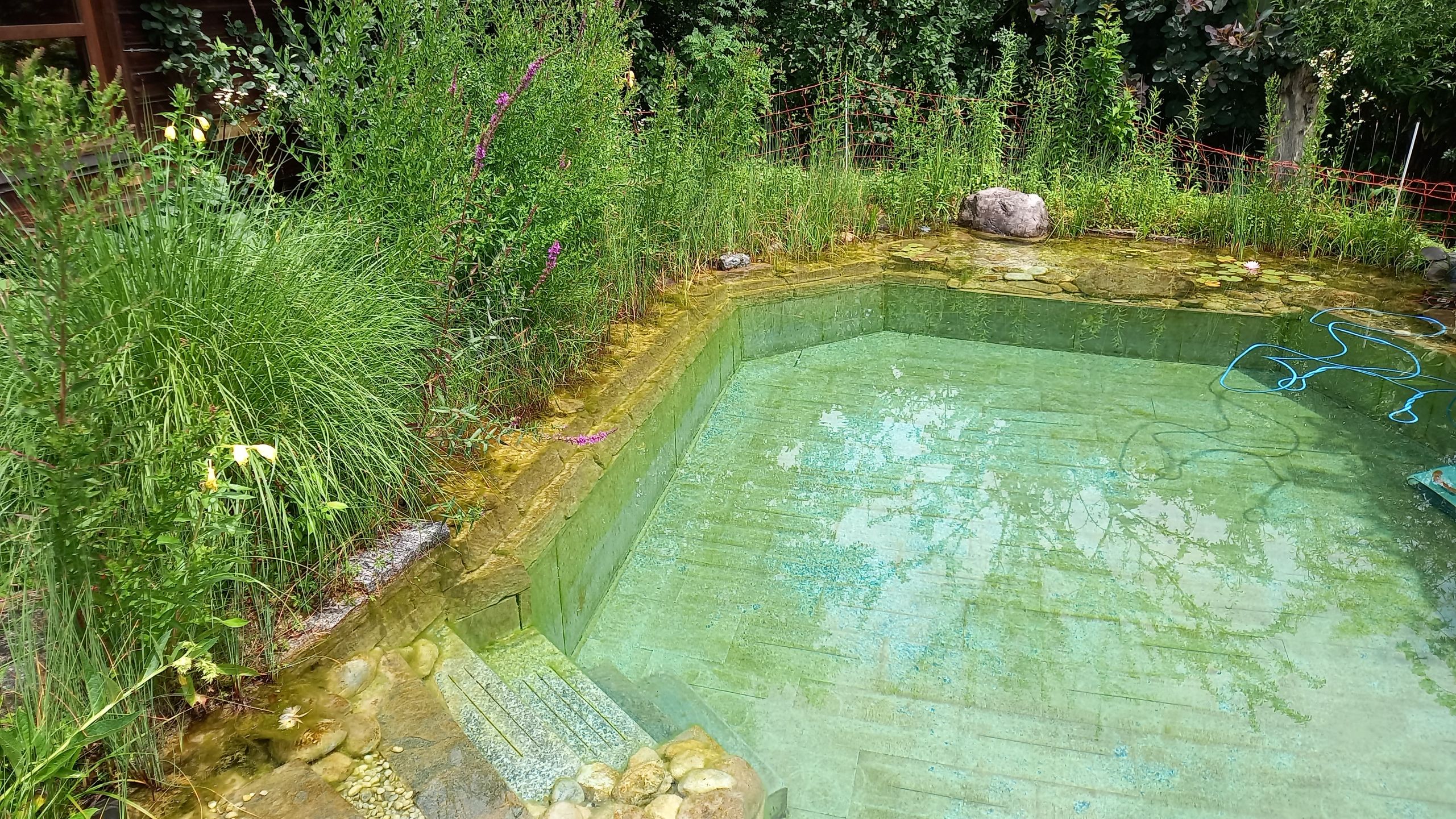 Bilder R&R MULTI SERVICES SÀRL