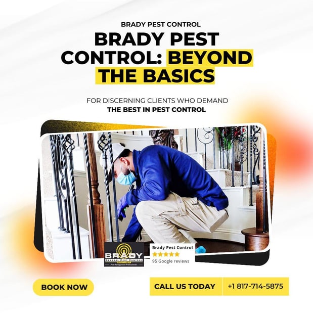 Images Brady Pest Control