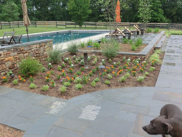 Landscaping Experience with Johnson's Landscape Service