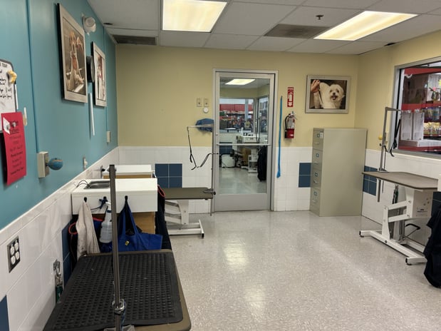 Images Petco Grooming