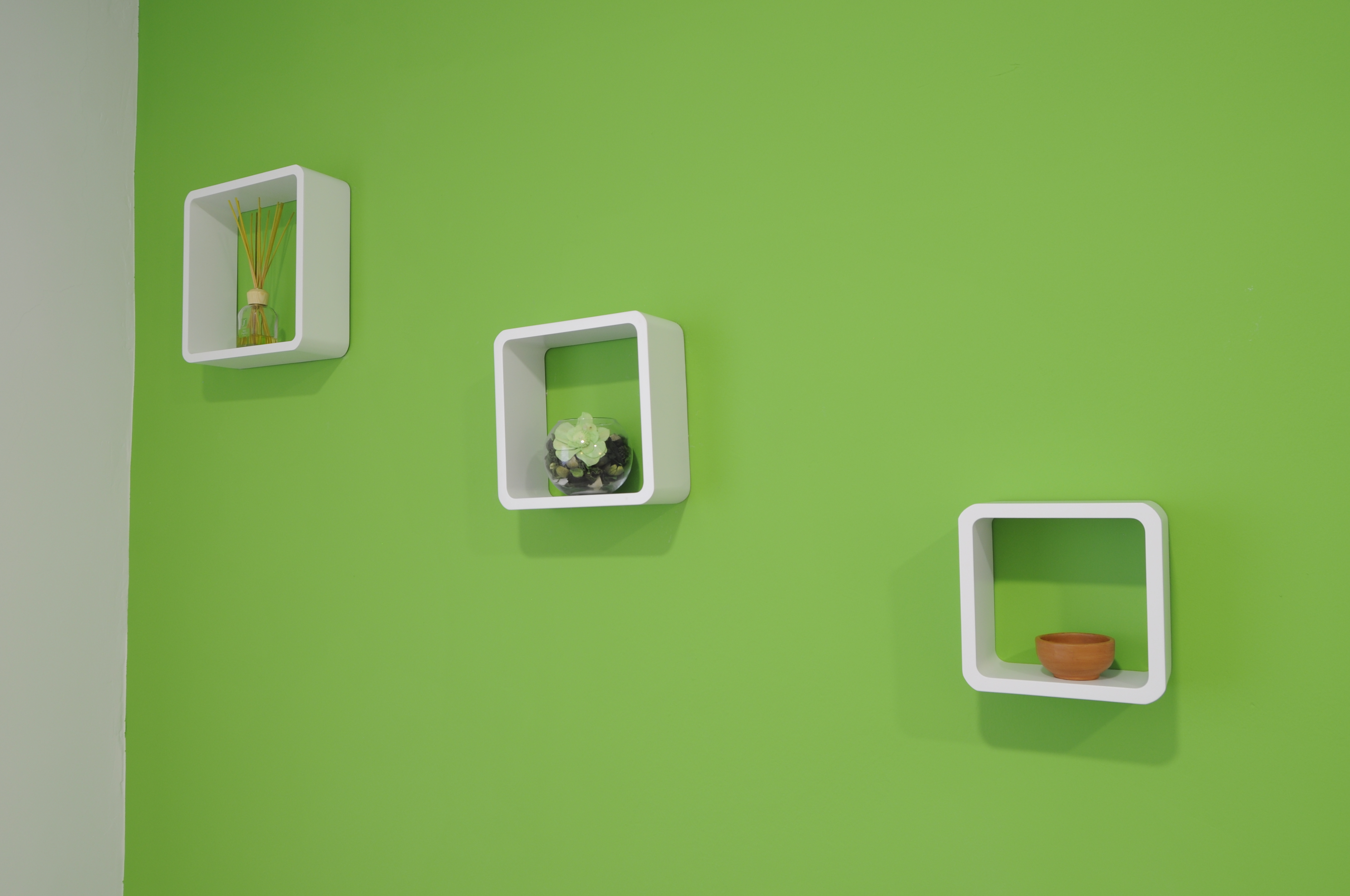 Images Fit and Fisio