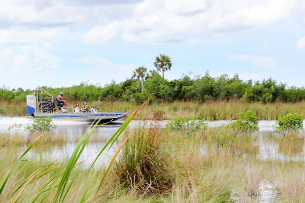 Images Everglades Excursions