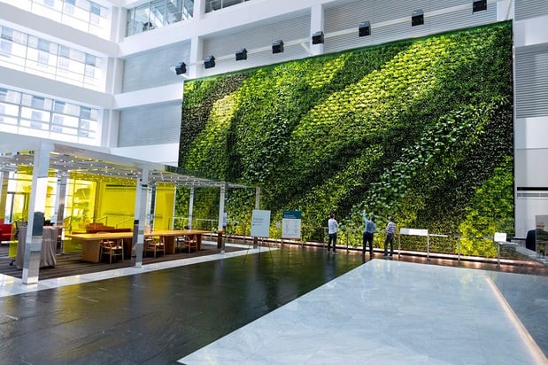 Images John Mini Distinctive Landscapes