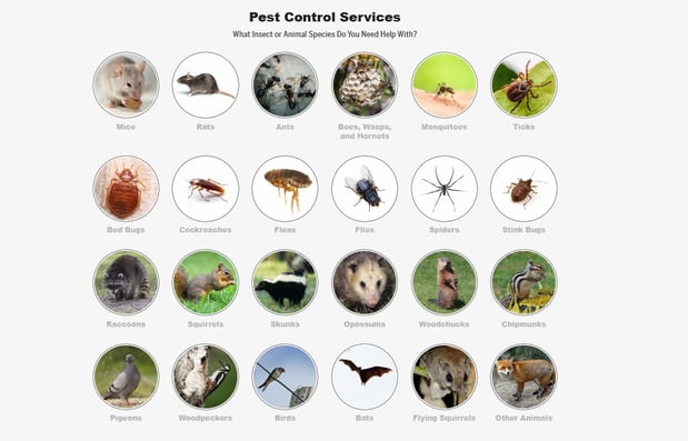 Images Landmark Pest Management