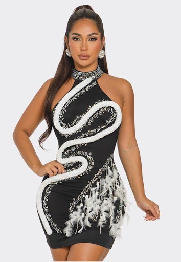 Images Fabiola's Fashion