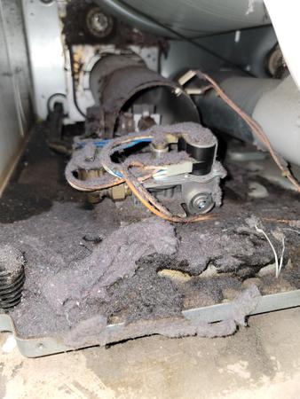 Images Cityscape Appliance Repair