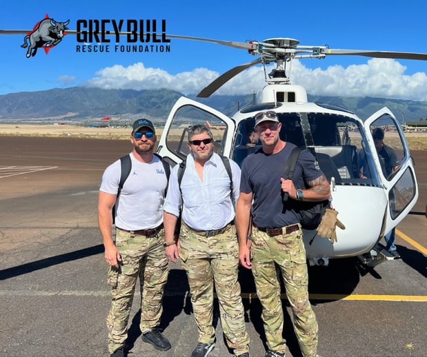 Images Grey Bull Rescue Foundation