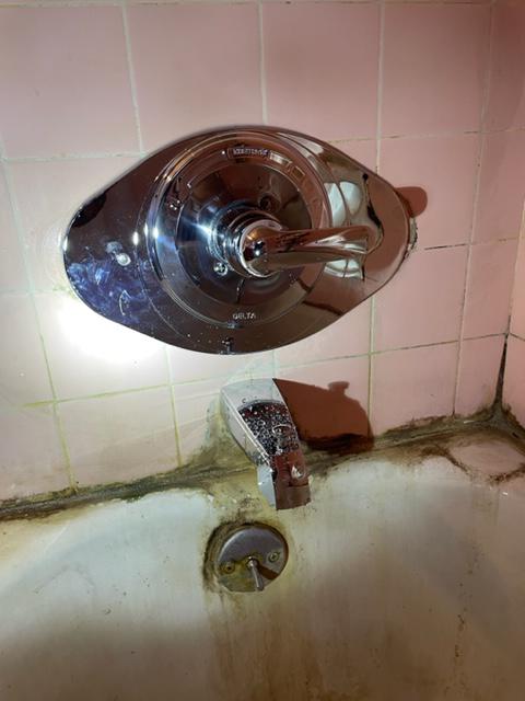 Samy's Plumbing- Repair and installation of tubs
