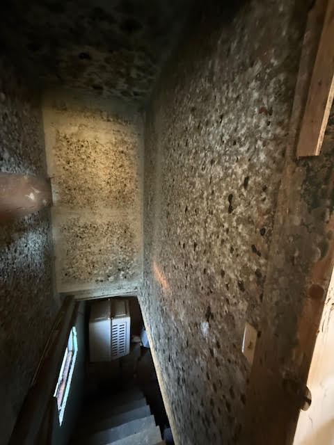 Images C.A.R.E. Cleaning And Restoration Experts