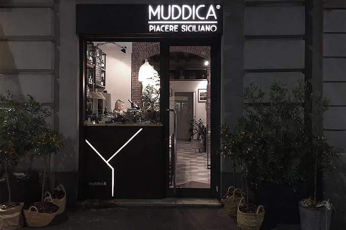 Muddica