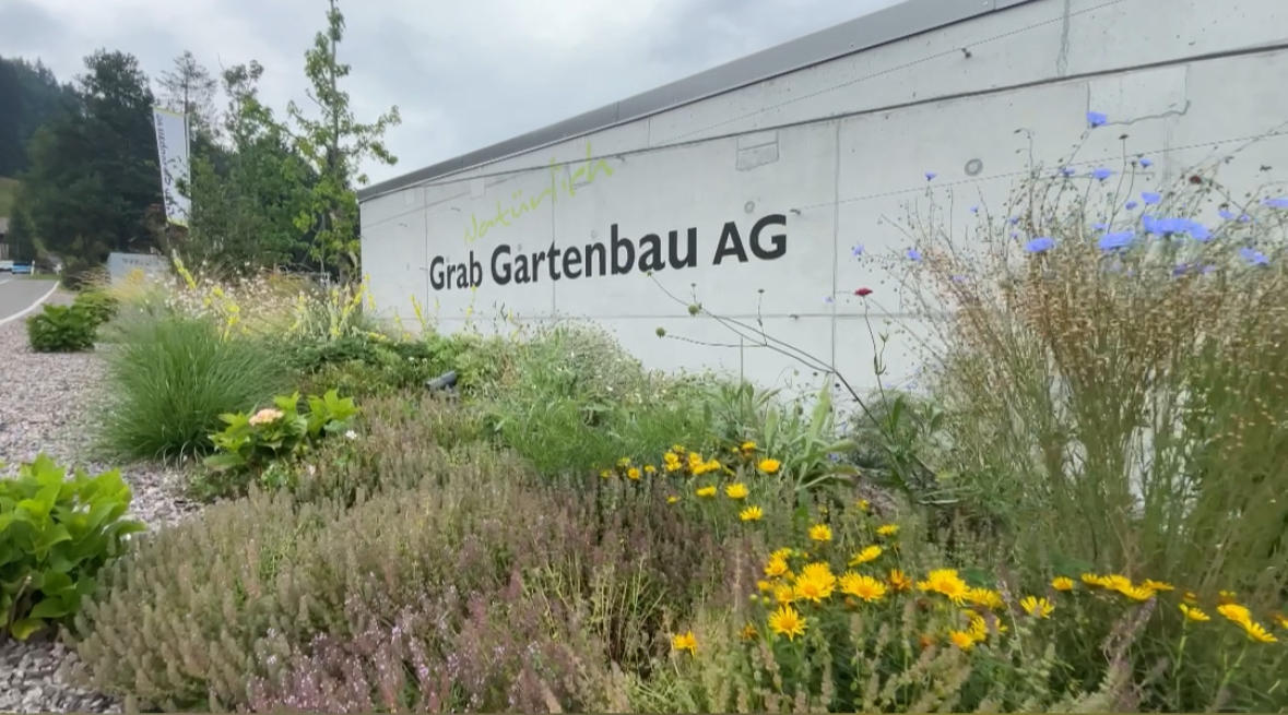 Bilder Grab Gartenbau AG