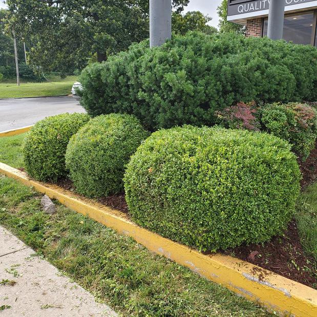 Images Cooks Lawn Care Service