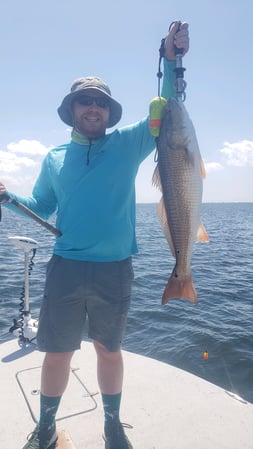 Images E-6 INSHORE FISHING ADVENTURES, LLC