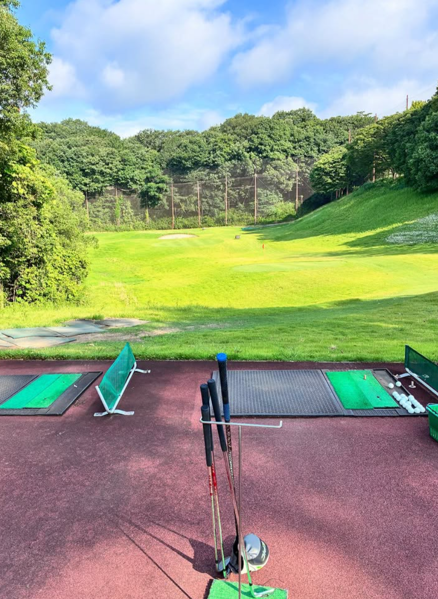 Images VZONEGOLF