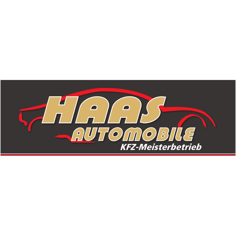 Logo Haas Automobile