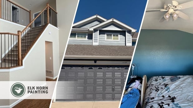 Images Elk Horn Painting - Denver