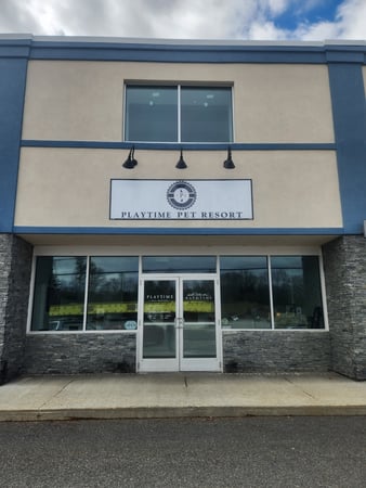 Images Playtime Pet Resort