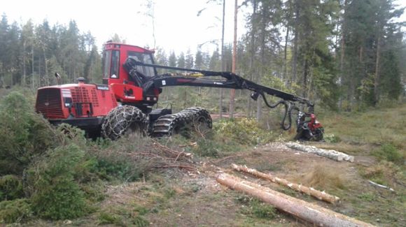 Images Törmälehto Group Oy