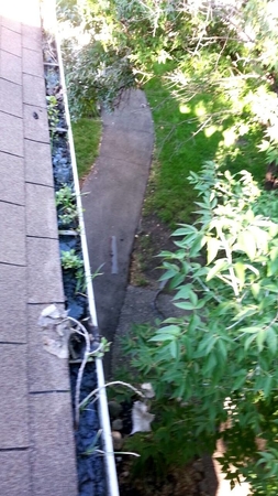 Images High Maintenance Services