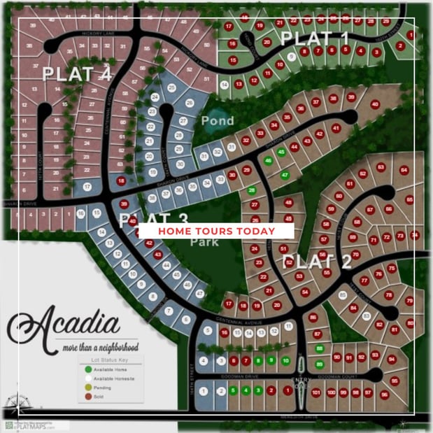 Images Accurate Development